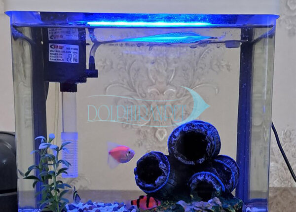 آکواریوم دلسا مدل k250