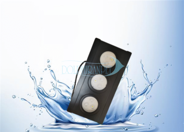 نور سیبیلیون Seabilion A030