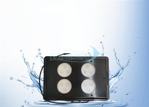 نور سیبیلیون Seabilion A052