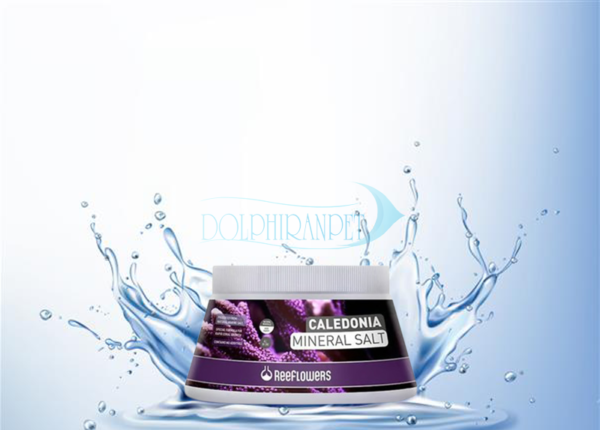 نمک معدنی کالودنیا ریفلاورز